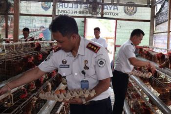 Warga binaan Rutan Negara di Bali sumbang telur untuk korban bencana