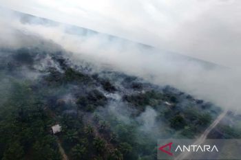 Belum selesai penanganan bencana banjir, Aceh Barat kini hadapi kebakaran lahan