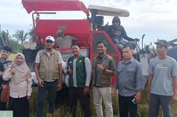 Bulog Singkawang serap puluhan ton gabah petani Sambas awal 2026