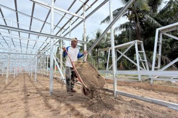 BNPB speeds up temporary housing construction in Aceh before Ramadan