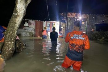 BNPB: Banjir dan longsor dominasi bencana sepekan terakhir
