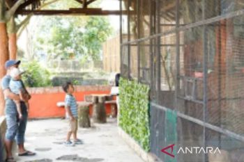 Pemkot Banjarmasin gandeng swasta kembangkan Taman Edukasi Satwa Jahri Saleh