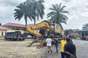 ESDM dan PPATK koordinasi tambang emas ilegal hingga ratusan triliun