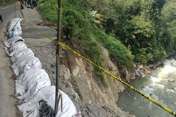 Bupati: Jalan provinsi menuju Talamau Pasaman Barat rawan longsor