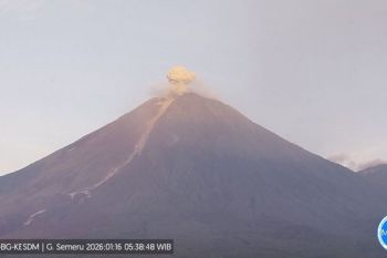Gunung Semeru alami 23 kali gempa letusan selama enam jam pada Sabtu