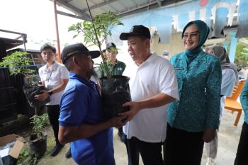 Babel bagikan ratusan ribu bibit cabai menyukseskan "Gencar"