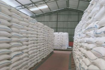 Bulog Sulteng targetkan serap 11.000 ton beras lokal pada 2026