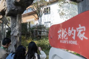 Menengok penampilan publik lima panda raksasa di Panda World Fuzhou