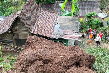 BPBD Situbondo catat dua rumah warga rusak tertimpa longsor