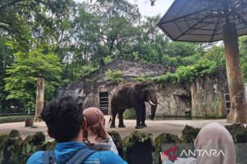 46.320 wisatawan kunjungi Taman Margasatwa Ragunan pada libur Isra Mikraj 2026
