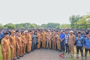 Sebanyak 13.970 tenaga non-ASN Bima terima SK PPPK paruh waktu