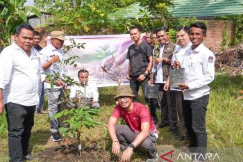KPU Dompu canangkan penanaman pohon sebagai simbol perawatan demokrasi berkelanjutan