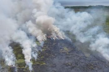 Kotawaringin Timur optimalkan kewaspadaan kebakaran hutan dan lahan