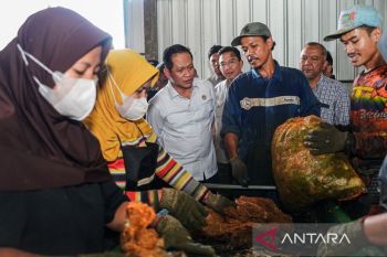 Menteri LH imbau intensifkan pemilahan hadapi krisis sampah di daerah