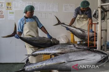 Indonesia targets stronger seafood exports with 2026 strategy