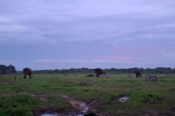 TNWK telah pulihkan 1.286,84 Ha ekosistem selama 2021-2024