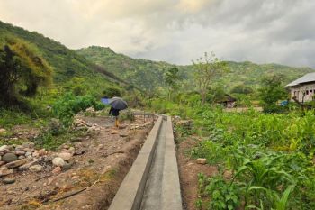 BBWS NT II pastikan pasokan air aman di tengah rehabilitasi irigasi