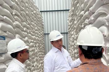 Bulog pastikan stok pangan aman hingga Idul Fitri