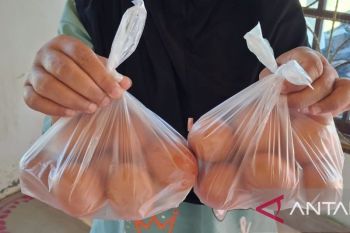 Ini total telur disumbang Perhimpunan Peternak   untuk korban banjir Aceh