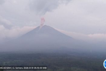 Semeru enam kali erupsi dengan tinggi letusan hingga 1 kilometer