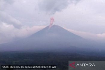 Semeru enam kali erupsi dengan tinggi letusan hingga 1 km