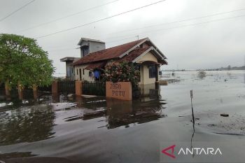 Potensi kerugian akibat banjir di sejumlah desa Kudus ditaksir Rp533 miliar