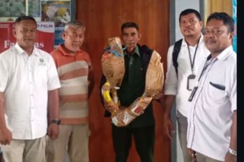 BKSDA Maluku amankan dua opsetan tanduk rusa saat pemeriksaan rutin di Pelabuhan Ambon