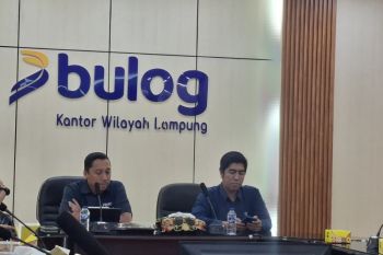 Serapan jagung Bulog Lampung tercatat 19 ribu ton selama 2025