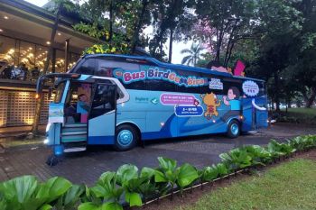 Bluebird: Transportasi umum potensial promosi ekraf lokal