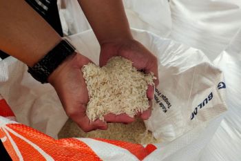 Bulog: Cadangan beras pemerintah di Lampung capai 168 ribu ton