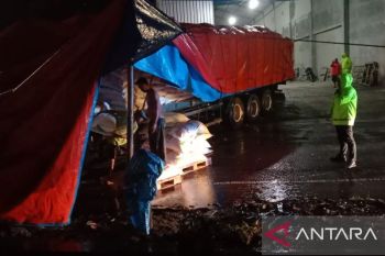Akibat truk tronton terperosok, jalur pantura Jawa-Bali dialihkan
