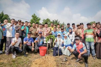 Pemkot Pekanbaru larang tebang pohon besar, boleh dipindahkan pakai izin
