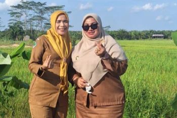 Wabup Kotim dorong Pemdes Tinduk jeli manfaatkan fenomena wisata dadakan