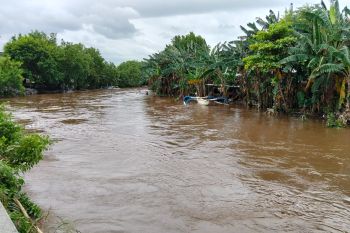 Debit air sungai di Mataram capai level siaga