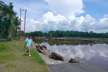 Jalan provinsi terputus dampak bencana hidrometeorologi, warga Subang-Subang, Agam terisolir (Video)