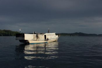Nanaku dan peran perempuan dalam ketahanan pangan