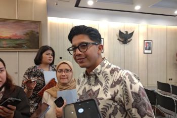 Danantara menyiapkan tender PLTSa tahap awal di empat daerah