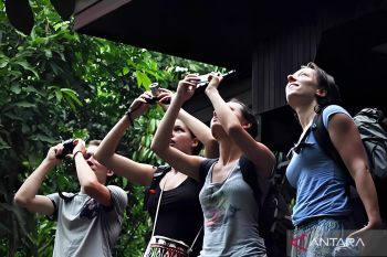 658 wisawatan mancanegara kunjungi Taman Nasional Kutai selama 2025