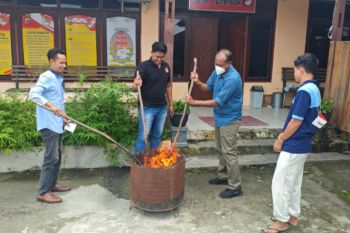 Polres Jayapura musnahkan 357,25 gram narkotika jenis ganja