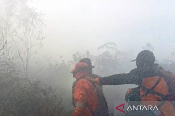 BPBD Aceh Barat usulkan modifikasi cuaca, cegah kebakaran lahan meluas