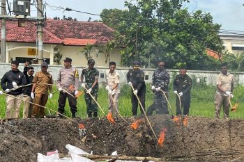 Karantina Jatim musnahkan komoditas pertanian ilegal
