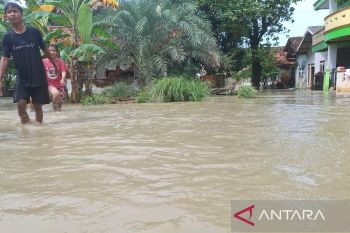 Pemkab Bekasi lakukan penanganan darurat di sejumlah titik tanggul kritis