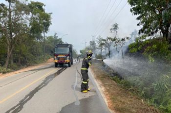 Polda padamkan kebakaran semak belukar di Batam