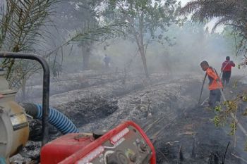 Sehari tiga kebakaran lahan, Kotim tingkatkan kewaspadaan