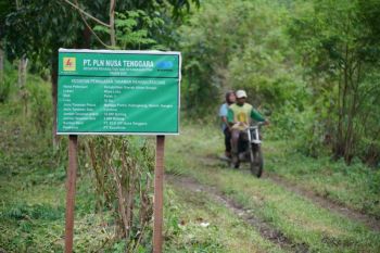 PLN tanam 30.000 pohon perkuat rehabilitasi DAS Manni di Sumbawa