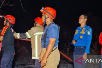 Damkar Bangka berhasil padamkan api di kawasan hutan Pantai Takari