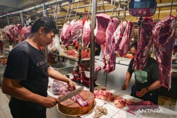 Harga daging sapi naik hingga Rp150 ribu per kg