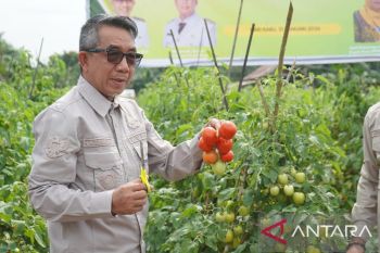 Pemkab Kutim Komitmen Bina Petani Hortikultura