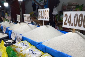 Ikan laut naik, telur dan cabai turun harga, beras relatif stabil di Bengkulu