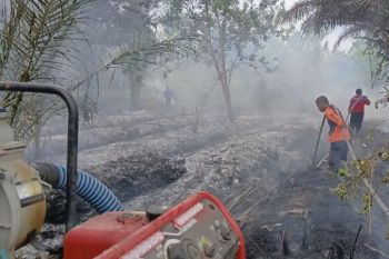 BPBD Kabupaten Kotawaringin Timur lakukan pemetaan daerah rawan karhutla